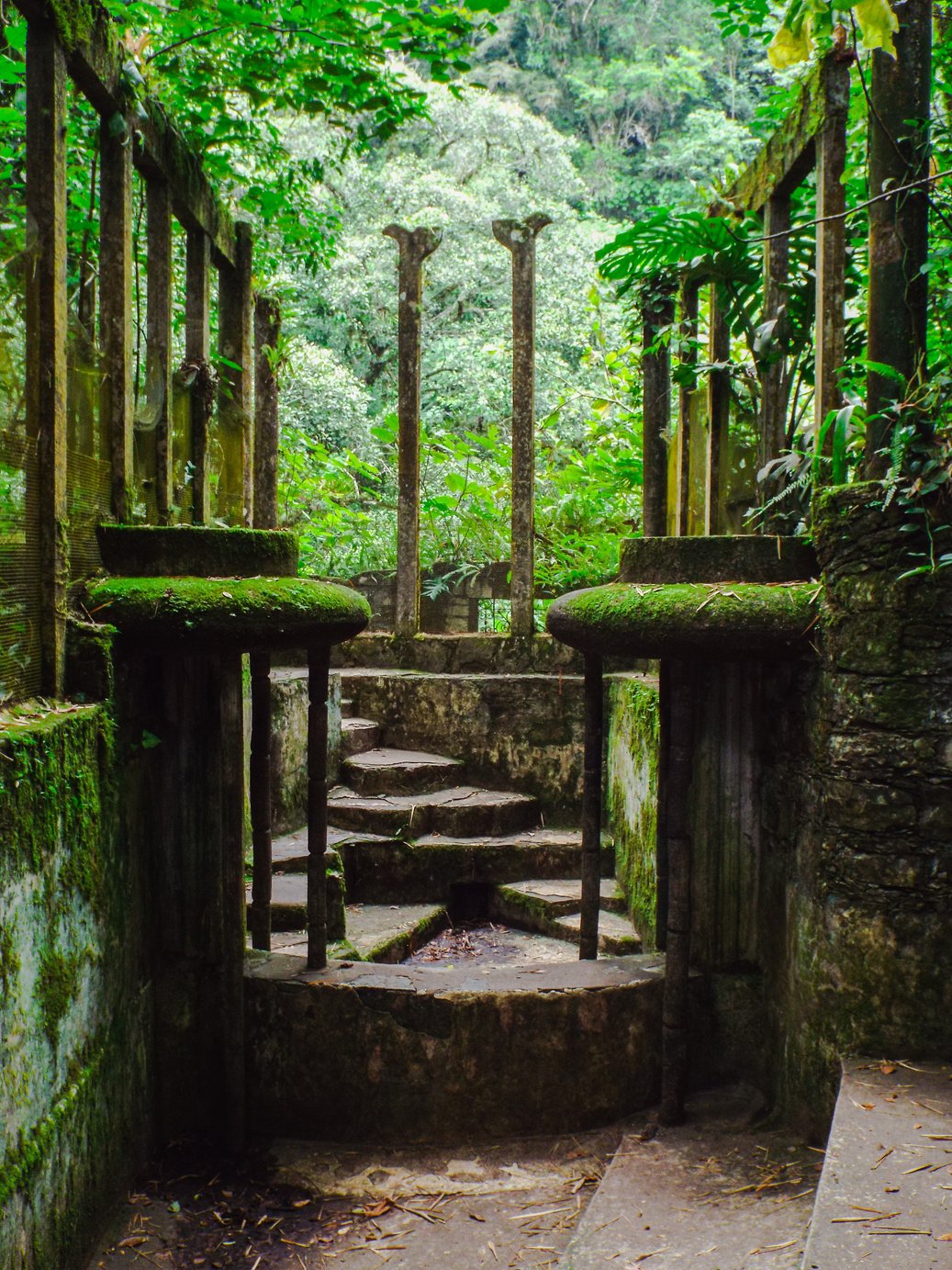 Stone walkway in lush jungle